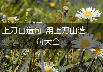 上刀山造句_用上刀山造句大全
