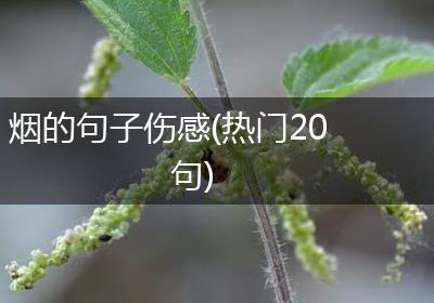 烟的句子伤感(热门20句)