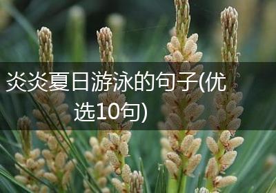炎炎夏日游泳的句子(优选10句)