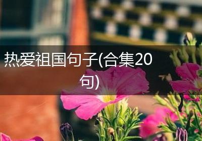 热爱祖国句子(合集20句)