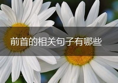 前首的相关句子有哪些