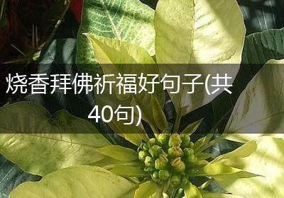 烧香拜佛祈福好句子(共40句)
