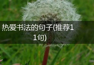 热爱书法的句子(推荐11句)