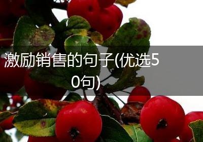 激励销售的句子(优选50句)