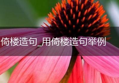 倚楼造句_用倚楼造句举例