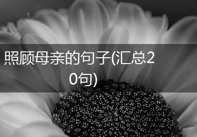 照顾母亲的句子(汇总20句)
