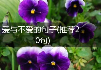 爱与不爱的句子(推荐20句)