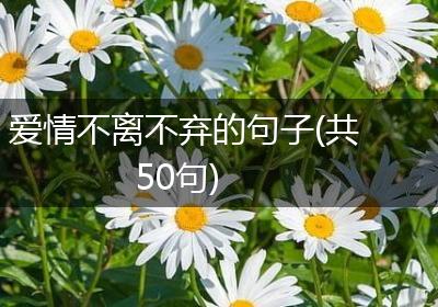 爱情不离不弃的句子(共50句)
