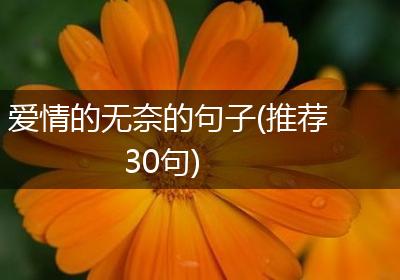 爱情的无奈的句子(推荐30句)
