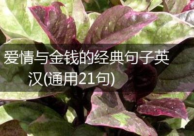 爱情与金钱的经典句子英汉(通用21句)