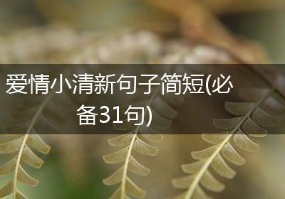 爱情小清新句子简短(必备31句)