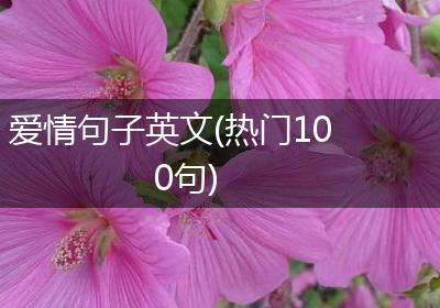 爱情句子英文(热门100句)