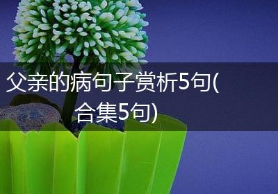父亲的病句子赏析5句(合集5句)
