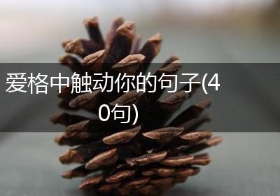 爱格中触动你的句子(40句)