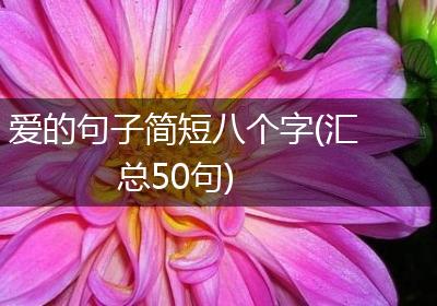 爱的句子简短八个字(汇总50句)