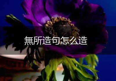 無所造句怎么造