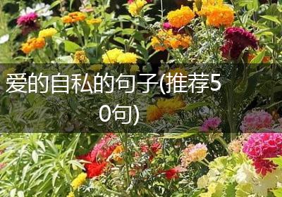 爱的自私的句子(推荐50句)