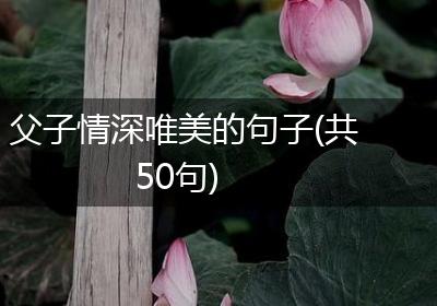 父子情深唯美的句子(共50句)
