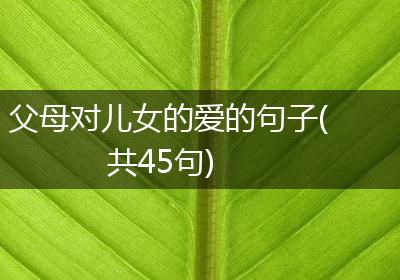 父母对儿女的爱的句子(共45句)