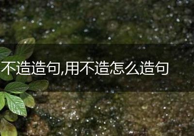 不造造句,用不造怎么造句