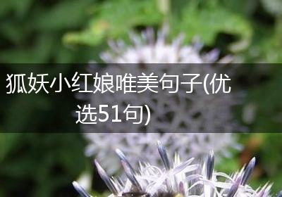狐妖小红娘唯美句子(优选51句)