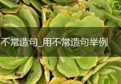 不常造句_用不常造句举例