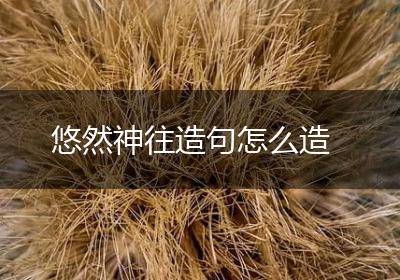 悠然神往造句怎么造