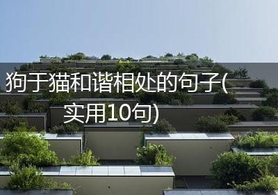 狗于猫和谐相处的句子(实用10句)