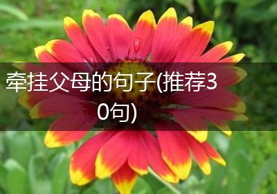 牵挂父母的句子(推荐30句)
