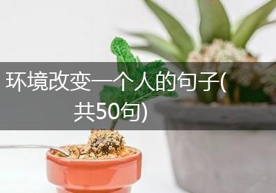 环境改变一个人的句子(共50句)
