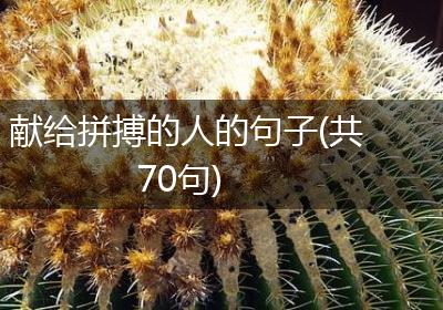 献给拼搏的人的句子(共70句)