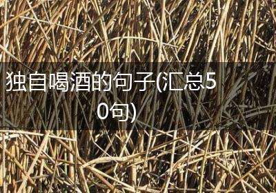 独自喝酒的句子(汇总50句)