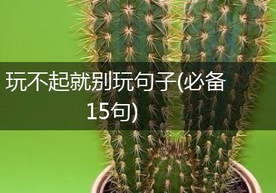 玩不起就别玩句子(必备15句)