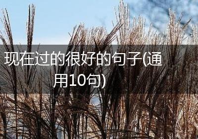 现在过的很好的句子(通用10句)