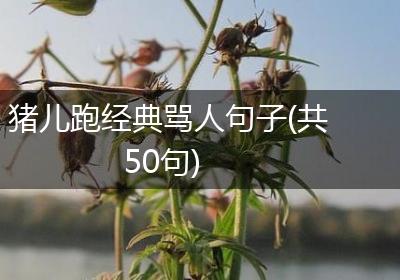 猪儿跑经典骂人句子(共50句)