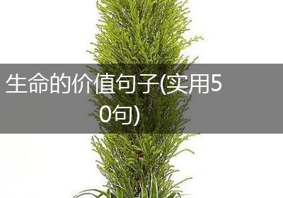 生命的价值句子(实用50句)