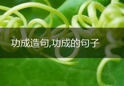 功成造句,功成的句子