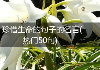 珍惜生命的句子的名言(热门50句)