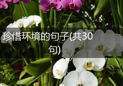 珍惜环境的句子(共30句)