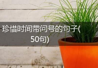 珍惜时间带问号的句子(50句)