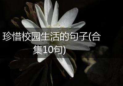 珍惜校园生活的句子(合集10句)
