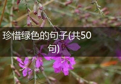珍惜绿色的句子(共50句)