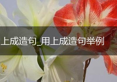 上成造句_用上成造句举例
