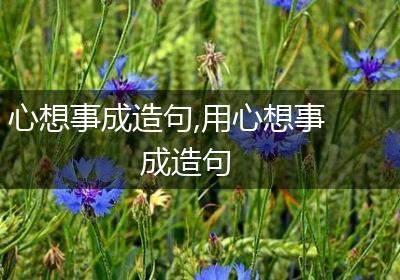 心想事成造句,用心想事成造句