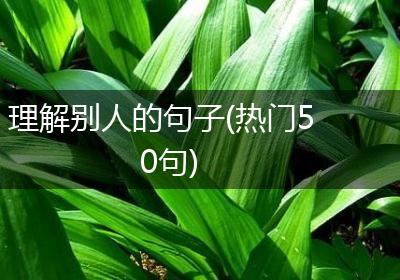 理解别人的句子(热门50句)