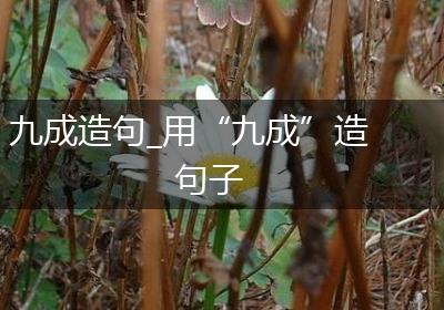 九成造句_用“九成”造句子