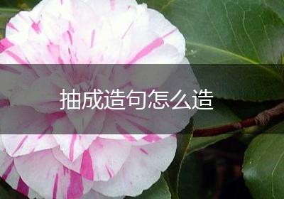 抽成造句怎么造