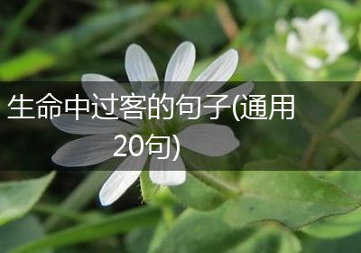 生命中过客的句子(通用20句)
