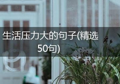 生活压力大的句子(精选50句)