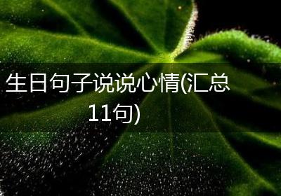 生日句子说说心情(汇总11句)